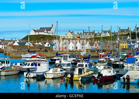 Fishing village, Findochty Harbour, Moray Firth, Scotland, United Kingdom Stock Photo