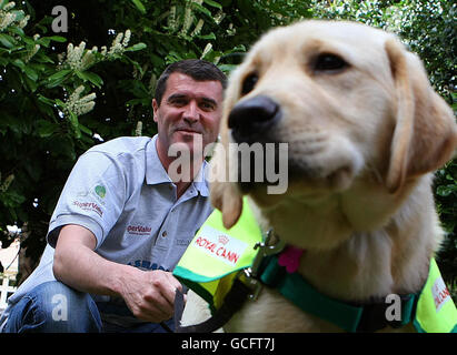 Irish Guide Dogs for the Blind Super Value Shades 2010 Campaign Stock Photo