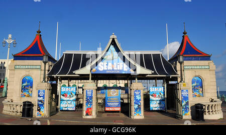 A general view of the Sea Life Centre on Brighton seafront. Stock Photo