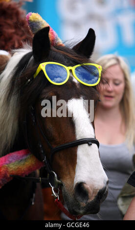The Royal Windsor Horse Show Stock Photo