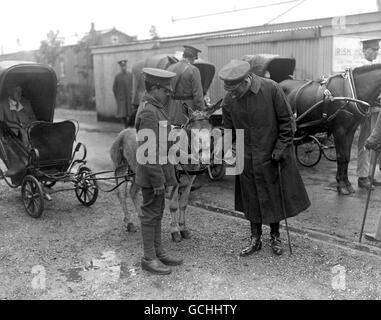 King George V stroking one of the bath chair donkeys employed at the Netley Hospital, near Southampton. The hospital treats injured soldiers. Stock Photo