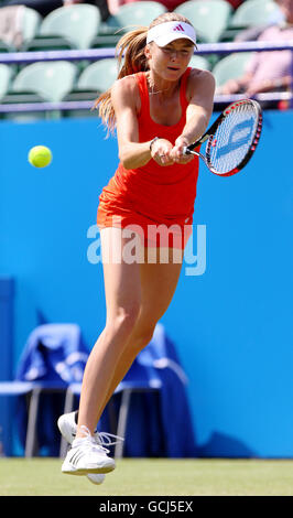 Tennis - AEGON International - Day Two - Devonshire Park. Slovakia's Daniela Hantuchova in action during the AEGON International at Devonshire Park, Eastbourne. Stock Photo