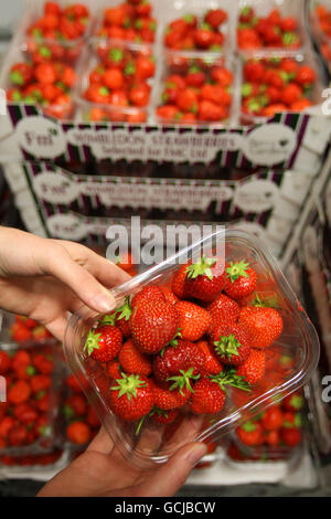 Tennis - 2010 Wimbledon Championships - Day Seven - The All England Lawn Tennis and Croquet Club. Workers prepare strawberries during Day Seven of the 2010 Wimbledon Championships at the All England Lawn Tennis Club, Wimbledon. Stock Photo