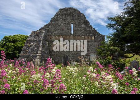 The ruins of Ardmore Cathedral, County Waterford in the Republic of Ireland. Stock Photo