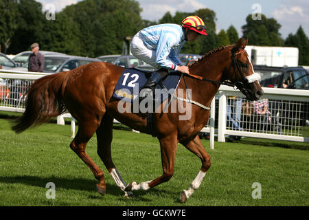 Horse Racing - Ripon Racecourse Stock Photo