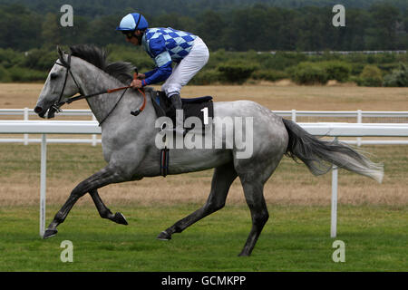 Jockey Eddie Ahern on Greylami goes to post in the Newsmith Capital October Club CHarity Handicap Stakes Stock Photo