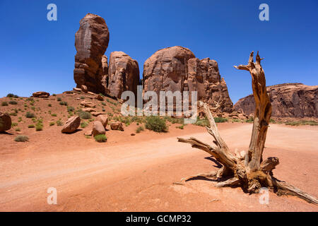 Dead tree and thumb rock formation in Monument Valley, USA Stock Photo