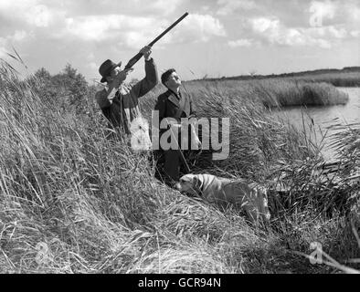 Edward Marsh and his retriever 'Bounce' shows his son Anthony how to shoot wild ducks. Stock Photo