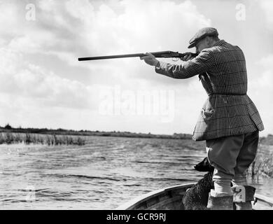 Hunting - Duck Shoot - Norfolk Broads Stock Photo