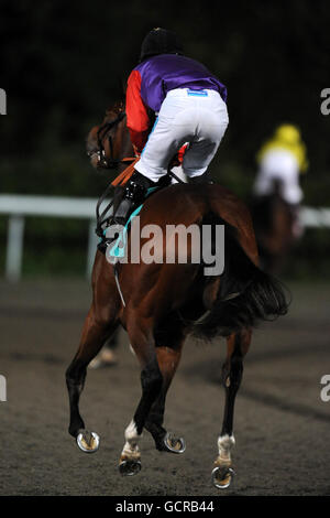 Horse Racing - digibet Wednesday Series - Kempton Park Stock Photo - Alamy