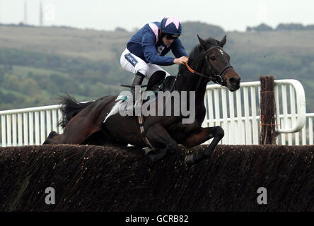 Horse Racing - Cheltenham Racecourse Stock Photo