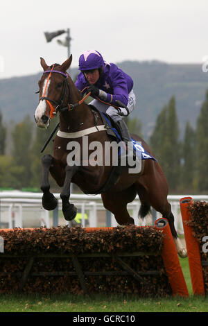 Jockey Joe Tizzard on Ceepeegee during the Neptune Investment Management Novices' Hurdle Stock Photo