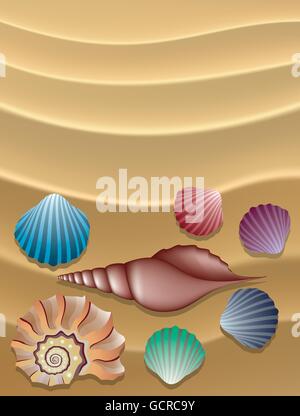 vector collection of shells on the sand Stock Vector