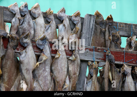 fish drying rack,  Ilulissat, Greenland Stock Photo
