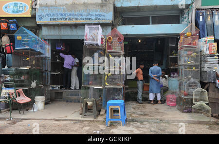 Sport - 2010 Commonwealth Games - Day Five - Delhi. A general view showing a street scene in Old Delhi, India as the Commonwealth Games takes place in the city Stock Photo