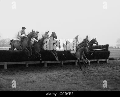 Horse Racing - Hennessy Cognac Gold Cup - Newbury Racecourse Stock Photo
