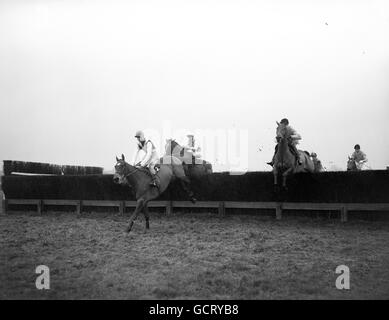 Horse Racing - Hennessy Cognac Gold Cup - Newbury Racecourse Stock Photo