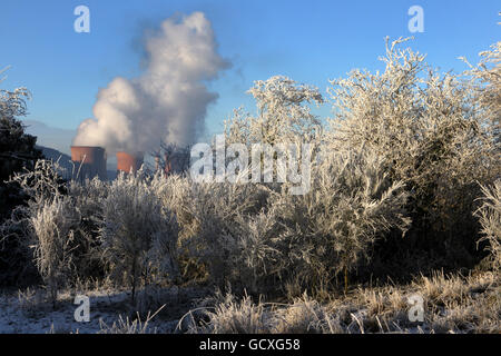 Heavy frost in the trees overlooking Ironbridge Power Station in Shropshire. Stock Photo