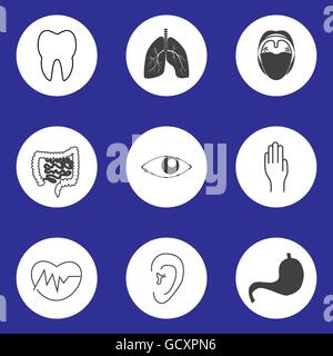 Human organs anatomy icons set, flat style Stock Vector Image & Art - Alamy