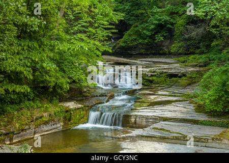 Small waterfalls on McClure Creek in Havana Glen Park in Montour Falls in the Finger Lakes Region of New York State Stock Photo