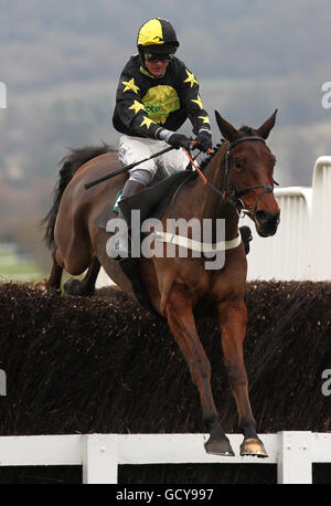 Jockey Joe Tizzard on Cannington Brook jumps during the DRS Contracts Novices' Chase Stock Photo