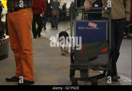 UK Border Agency drug detection Stock Photo