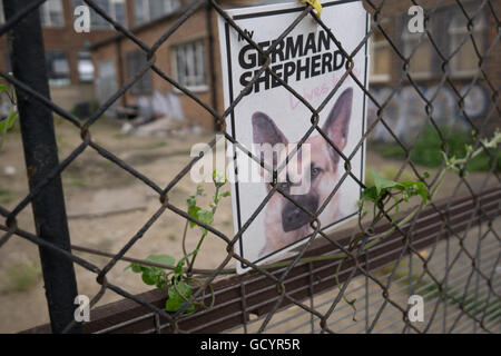 A sign warning of the presence of a German Shepherd being used as a security guard dog Stock Photo