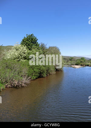 River Ettrick & Marshes, Ettrick Valley, Borders, Scotland, UK Stock Photo