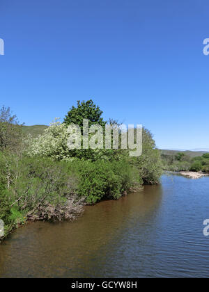 River Ettrick & Marshes, Ettrick Valley, Borders, Scotland, UK Stock Photo