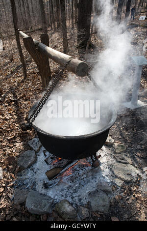 Large cast iron pots being used to reduce sugar maple sap to syrup Stock Photo