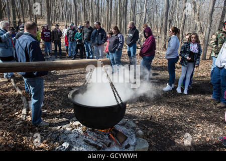 Maple tree sap being boiled down for syrup. Stock Photo