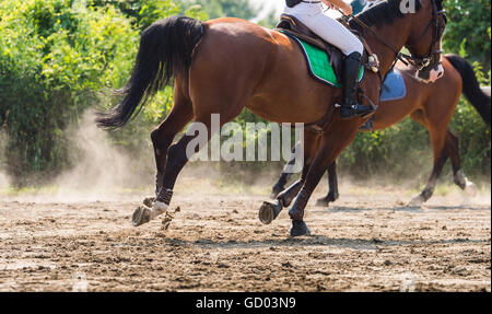 Young girl riding a horse Stock Photo