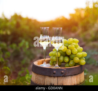 Two glasses of liquor or grappa with bunch of grapes against green background of the vineyard Stock Photo