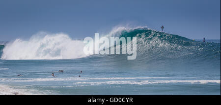 Bodysurfers swim out as big crashing wave breaks at the Wedge Newport Beach California in June 2016 Stock Photo