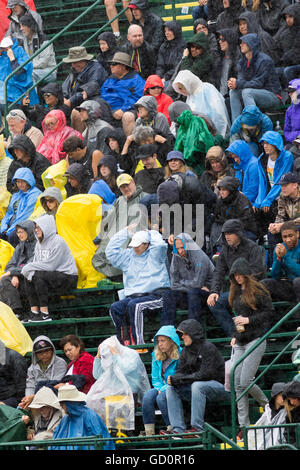 Eugene, USA. 8th July, 2016. Heavy rain with the crowd trying to stay dry at the 2016 USATF Olympic Trials at Historic Hayward Field in Eugene, Oregon, USA. Credit:  Joshua Rainey/Alamy Live News. Stock Photo