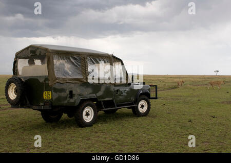 Jeep during a safari, Masai Mara National Reserve, Kenya, Africa Stock Photo