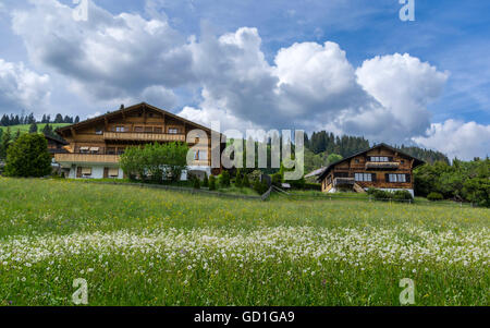 Chalets in Schönried ob Gstaad, Berner Oberland, Switzerland. Stock Photo