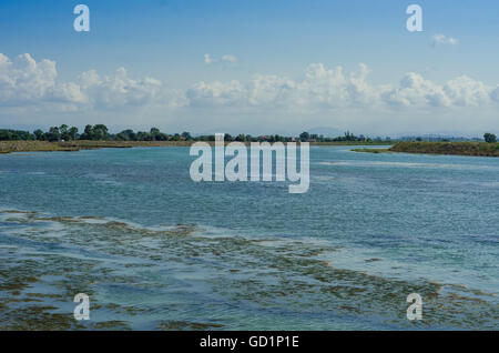 Wetlands in the Kizilirmak delta Black Sea Province of Turkey Stock Photo