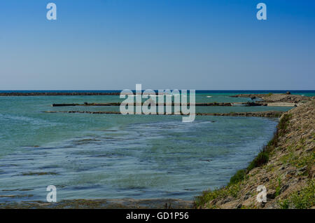 Wetlands in the Kizilirmak delta Black Sea Province of Turkey Stock Photo