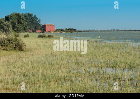 Wetlands in the Kizilirmak delta Black Sea Province of Turkey Stock Photo