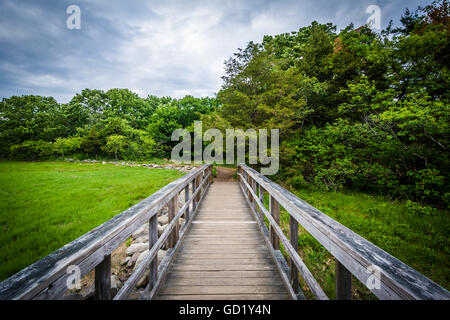 Boardwalk trail at Odiorne Point State Park, in Rye, New Hampshire. Stock Photo