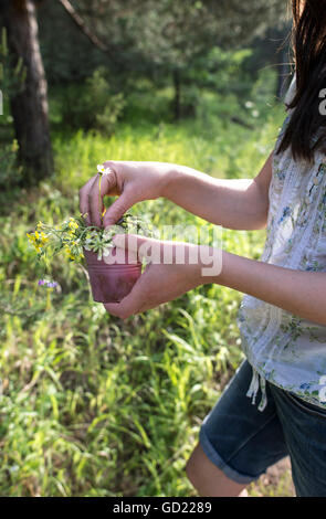 Woman collects flowers in the forest Stock Photo