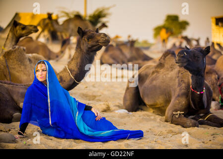 Girl with camels at the Pushkar Camel Fair, Pushkar, Rajasthan, India, Asia Stock Photo