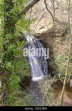 Falling Foss Waterfall, North Yorkshire Stock Photo