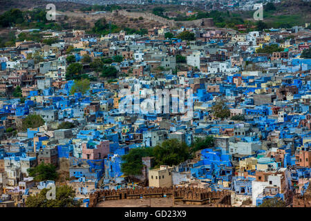 The view from Mehrangarh Fort of the blue rooftops in Jodhpur, the Blue City, Rajasthan, India, Asia Stock Photo