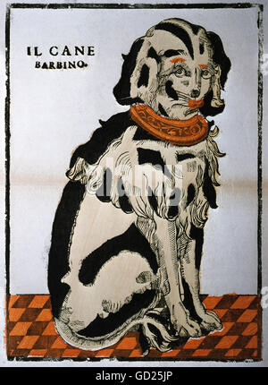 fine arts, graphic, 'Ill carne barbino' ('The miserable dog'), pictorial broadsheet, coloured woodcut, publiched by Raymonidini, Bassano, 19th century, private collection, , Artist's Copyright has not to be cleared Stock Photo