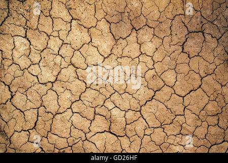 Mud cracks in dry earth texture, arable soil during dry season in nature as weather or climate change background Stock Photo