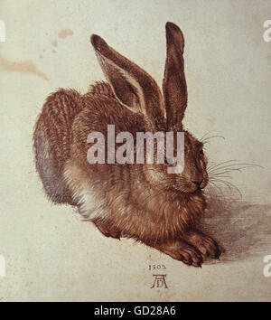 Albrecht buy Dürer Hase (Young Hare) by Ottmar Hörl