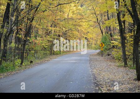 Autumn Colors Along a Rural Road in Devils Lake State Park near Baraboo, Wisconsin Stock Photo