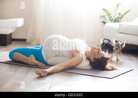 Healthy lifestyle concept. Pregnancy Yoga and Fitness. Young pregnant yoga woman working out with her pet dog in living room Stock Photo